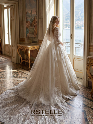 ball gown wedding dress with sleeves, A-line, without a train.