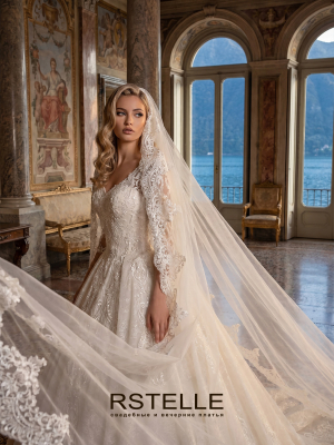 ball gown wedding dress with sleeves, embroidered with Chantilly lace